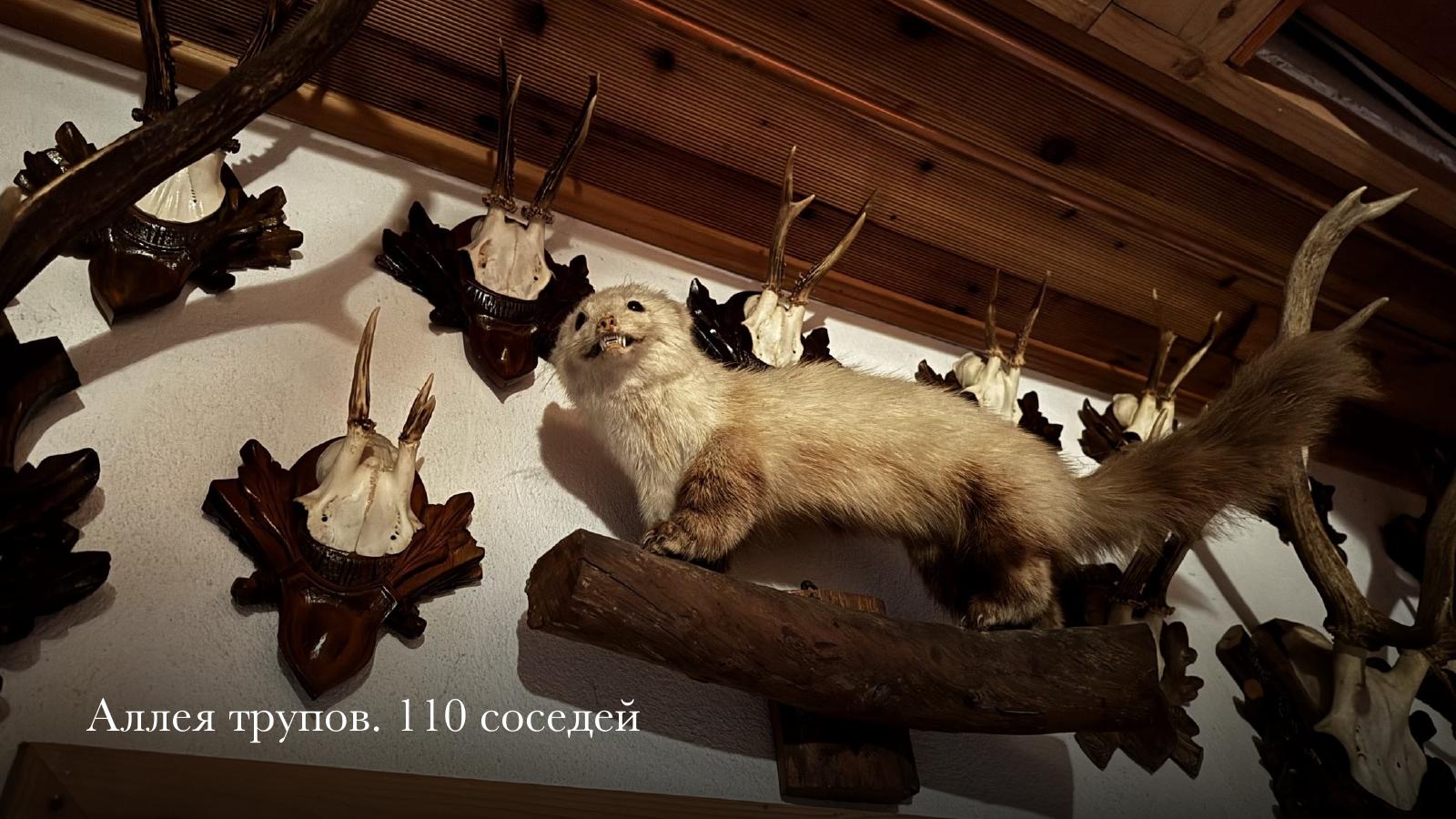 Слайд 5 · Аллея трупов. 110 соседей